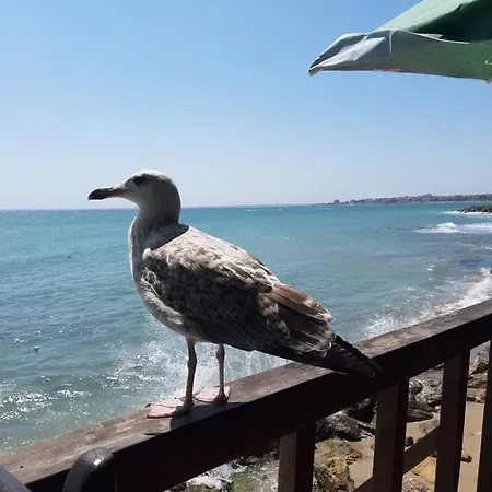 شقة Milena نيسيبار